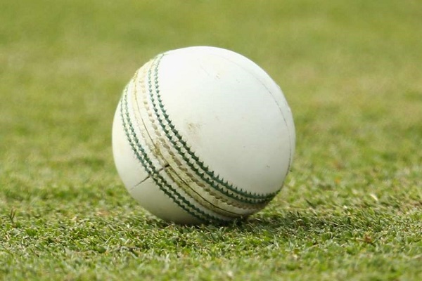 White Cricket balls for IPL