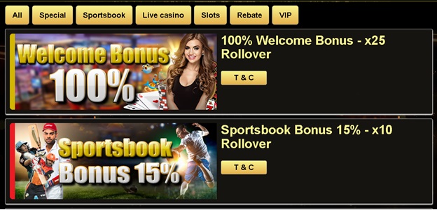 K9Win Online Casino Bonus and Promotions