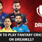dream 11 cricket fantasy
